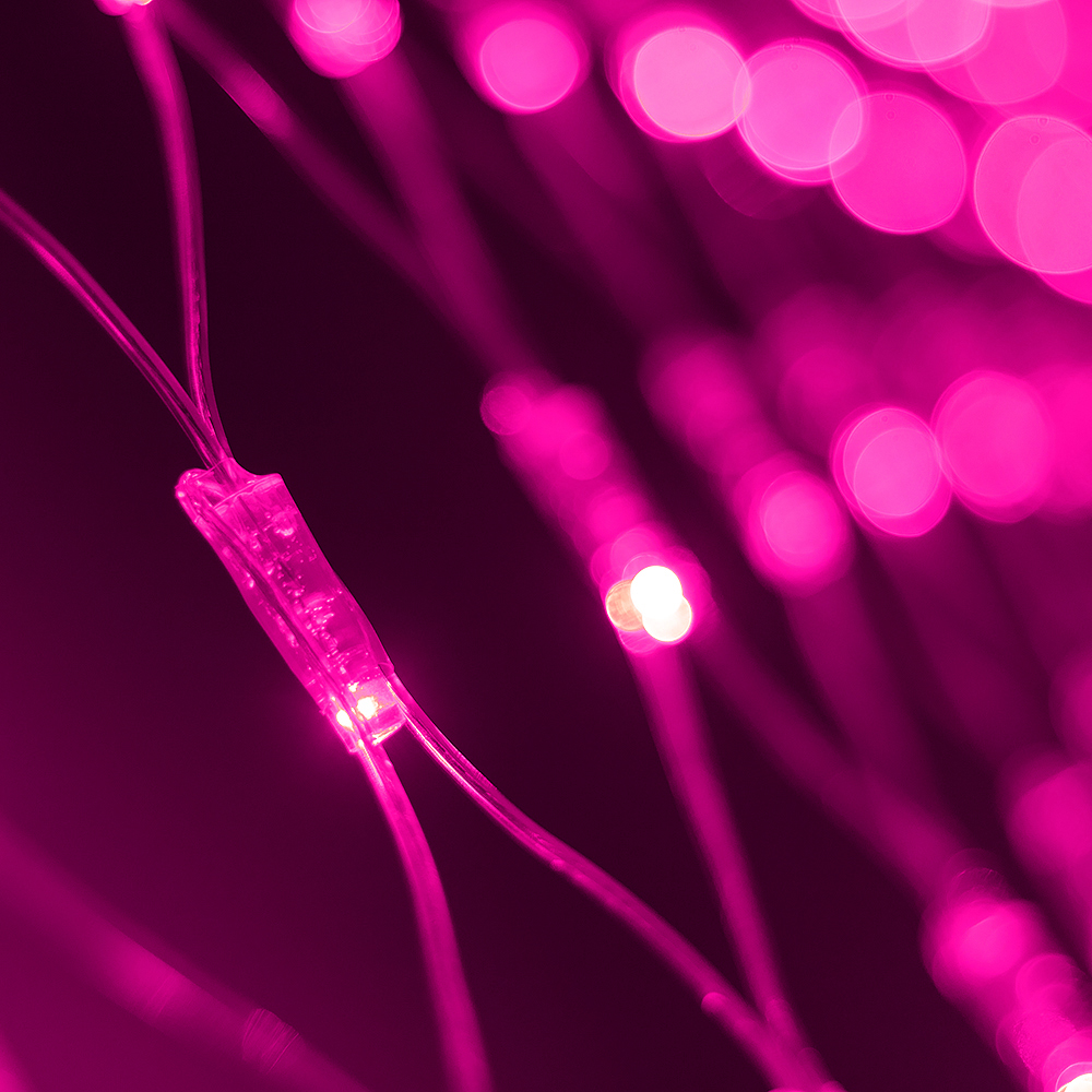 024679-27-pink.jpg