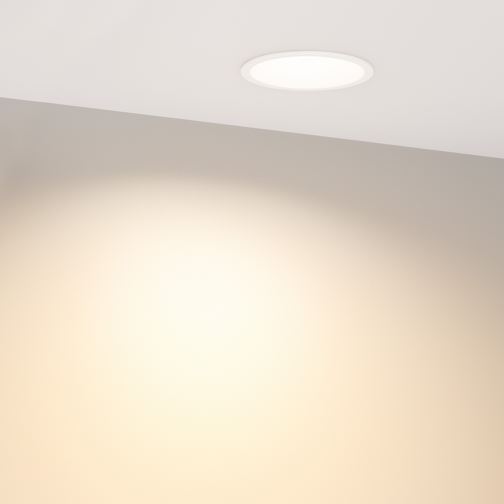 035610-11_035609 3000.jpg