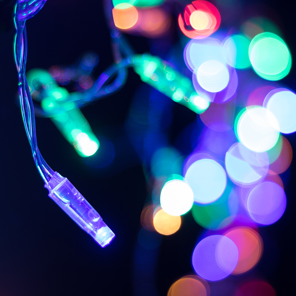 026008-10.jpg