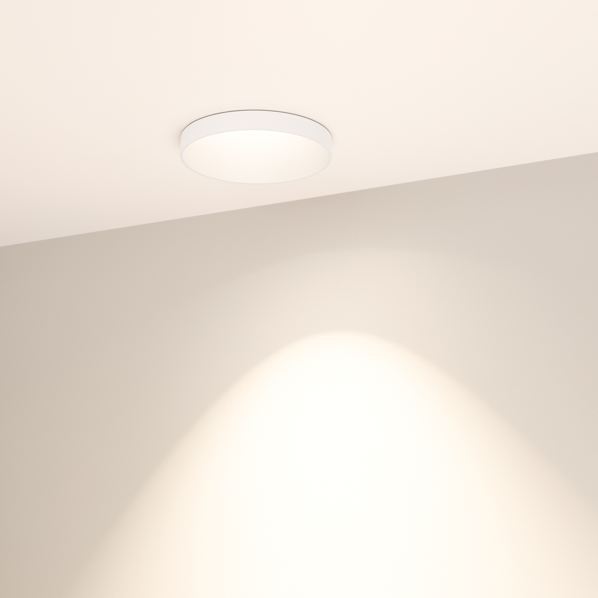 033665-10.jpg