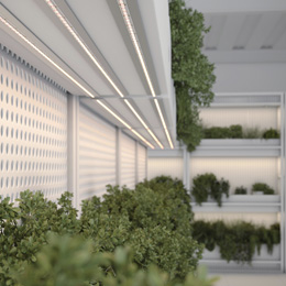 Специализированный свет