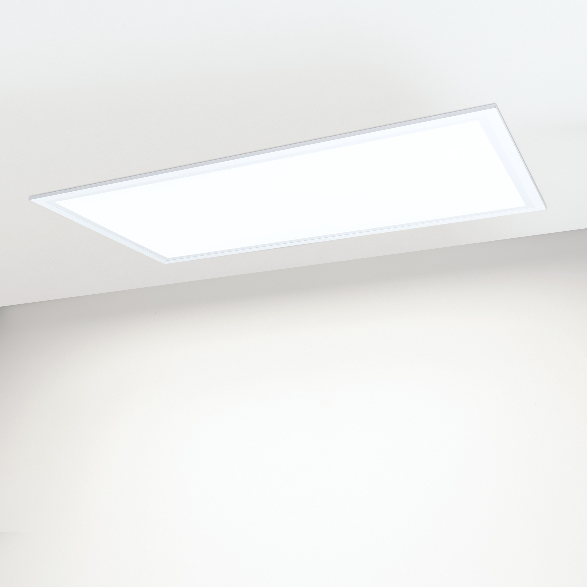 023533-036239-8_White.jpg