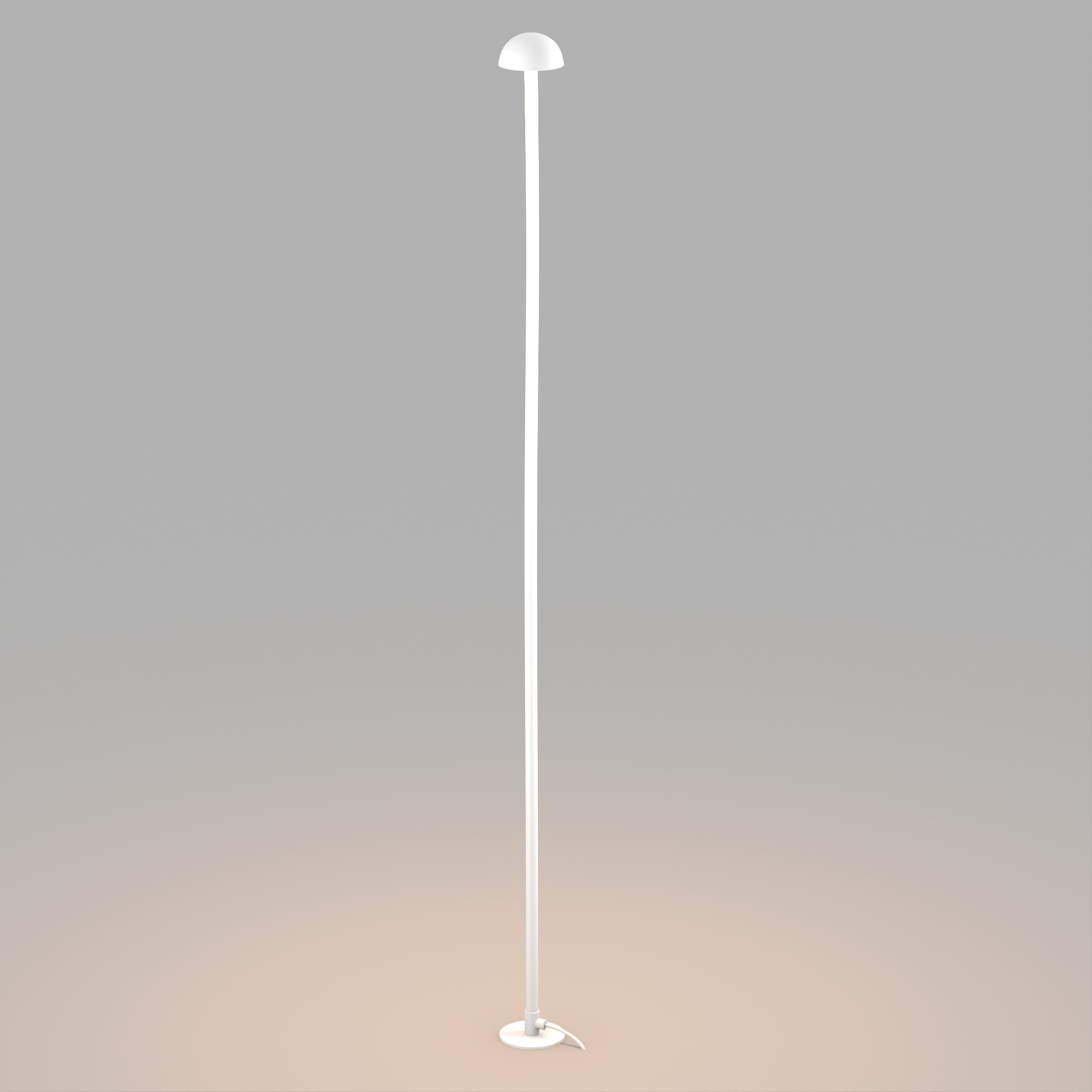 KT-ENOKI-BOLL-H1000-2W vray 2019 WH.jpg