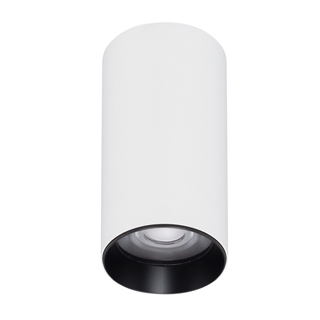SP-GABI-SURFACE-R60-12W-WHsm.jpg