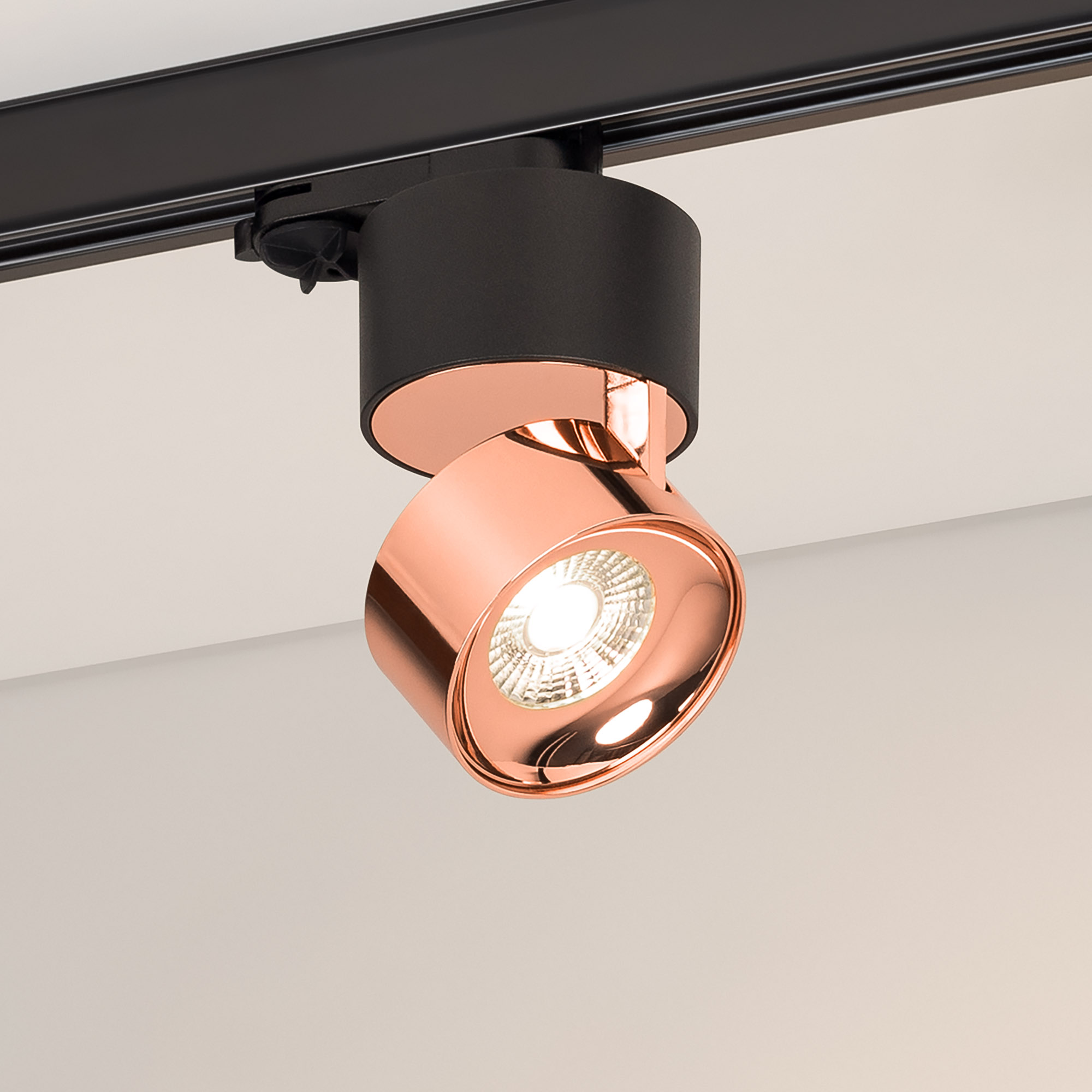 038121-16_038109 main.jpg