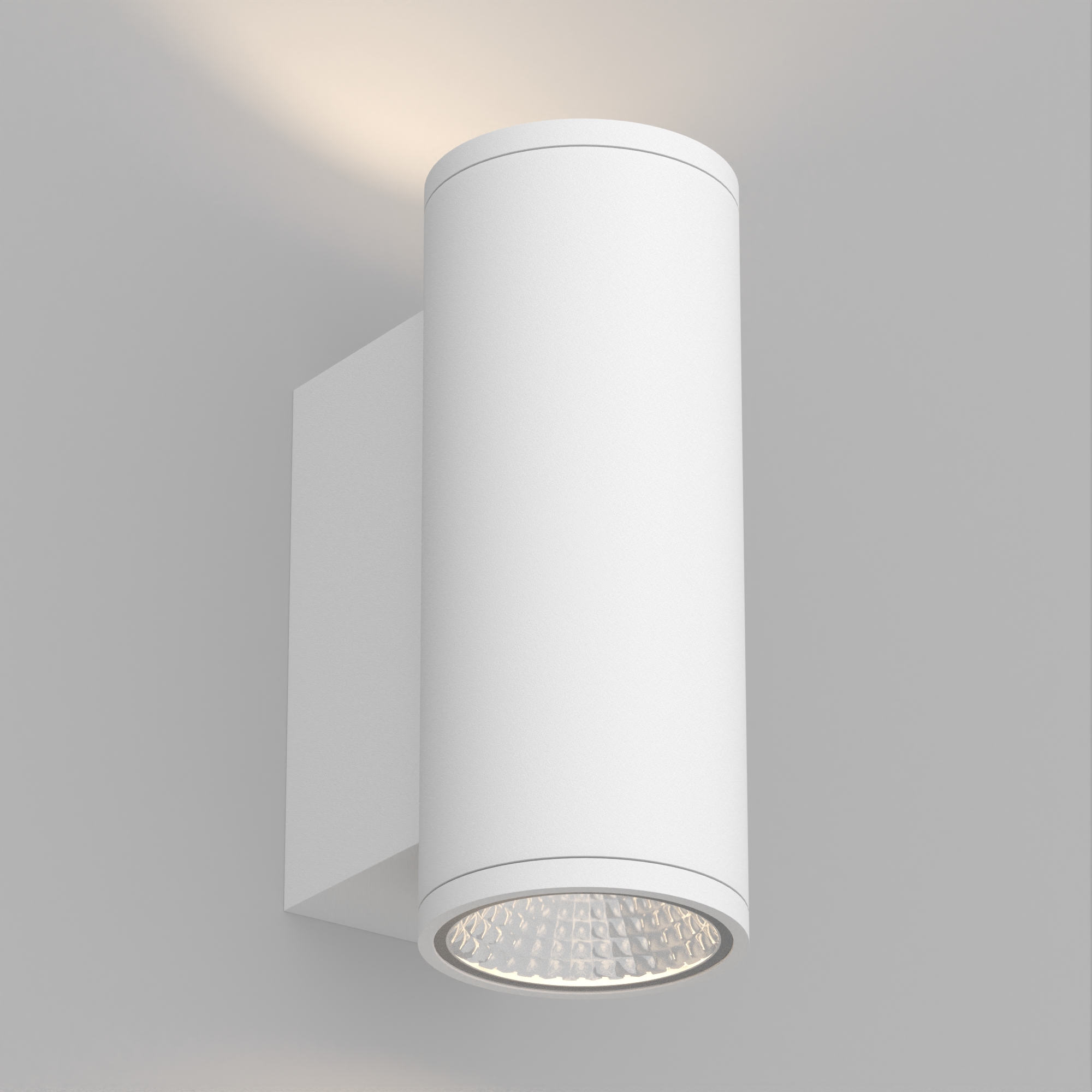 LGD-FORMA-WALL-TWIN-R90-2x12W vray 2015 WH.jpg