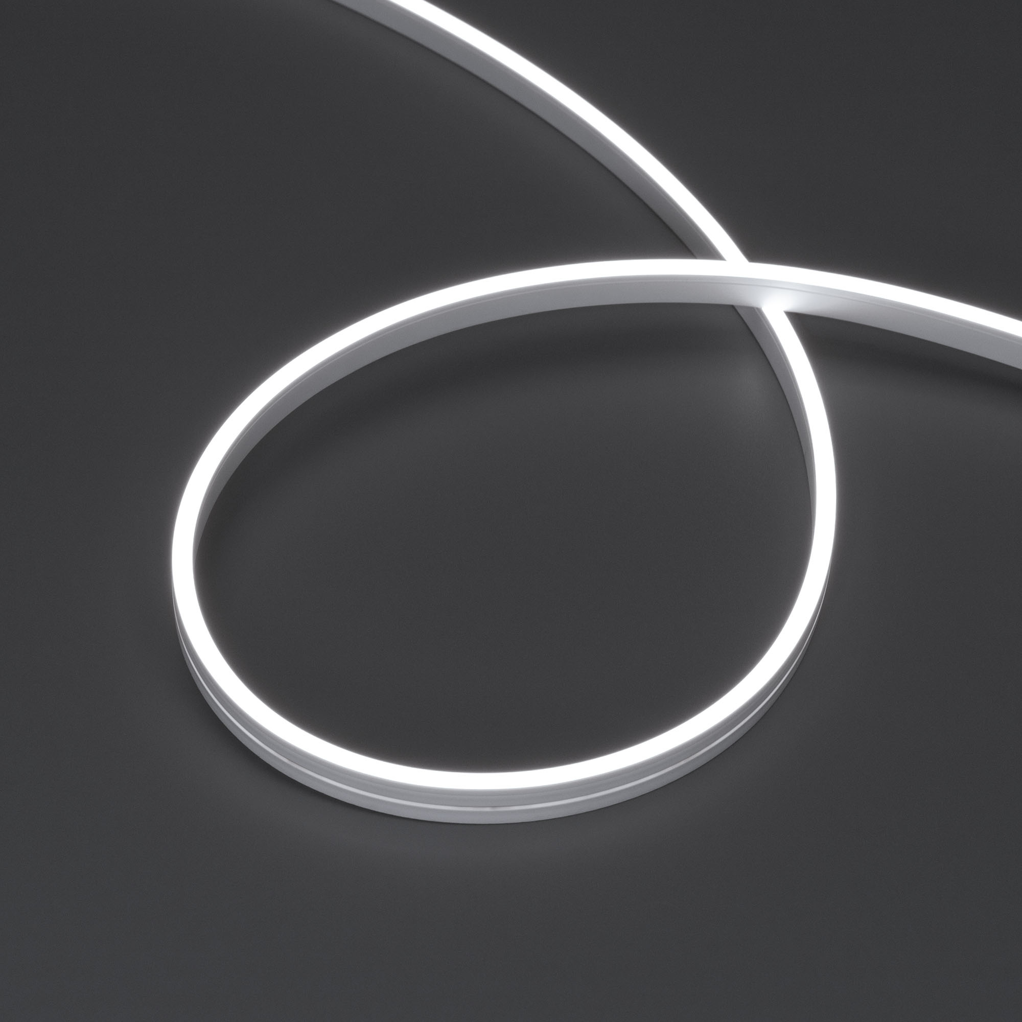 037553-5_6000.jpg