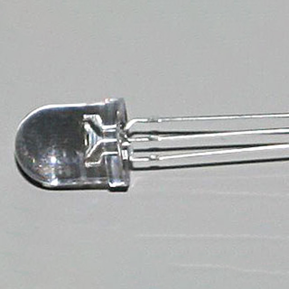 ARL_10mm_3nogi_main.jpg