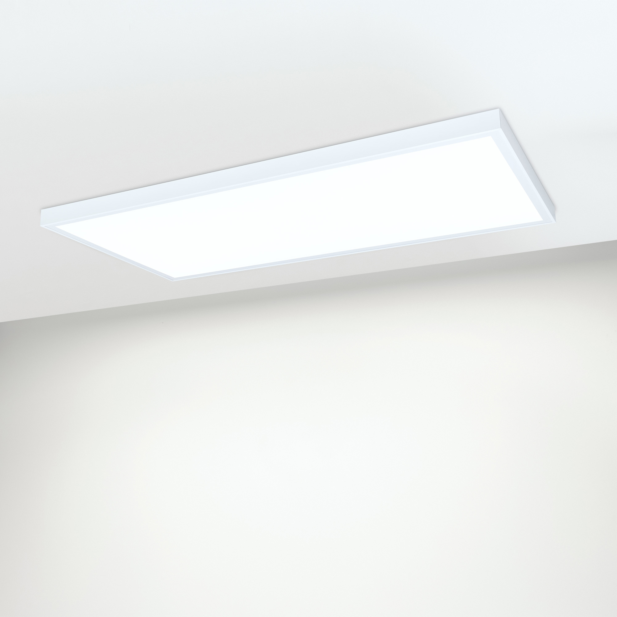 027831-036239-7_White.jpg