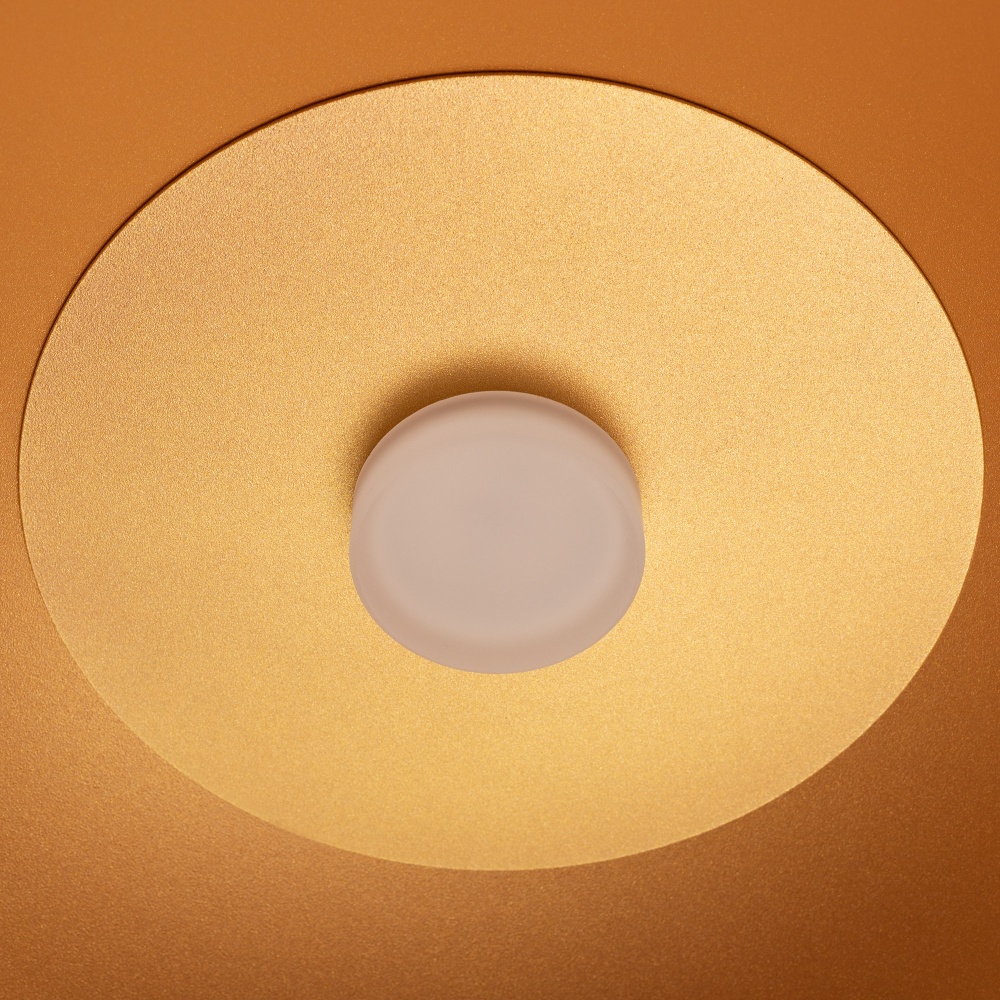 039698-7.jpg