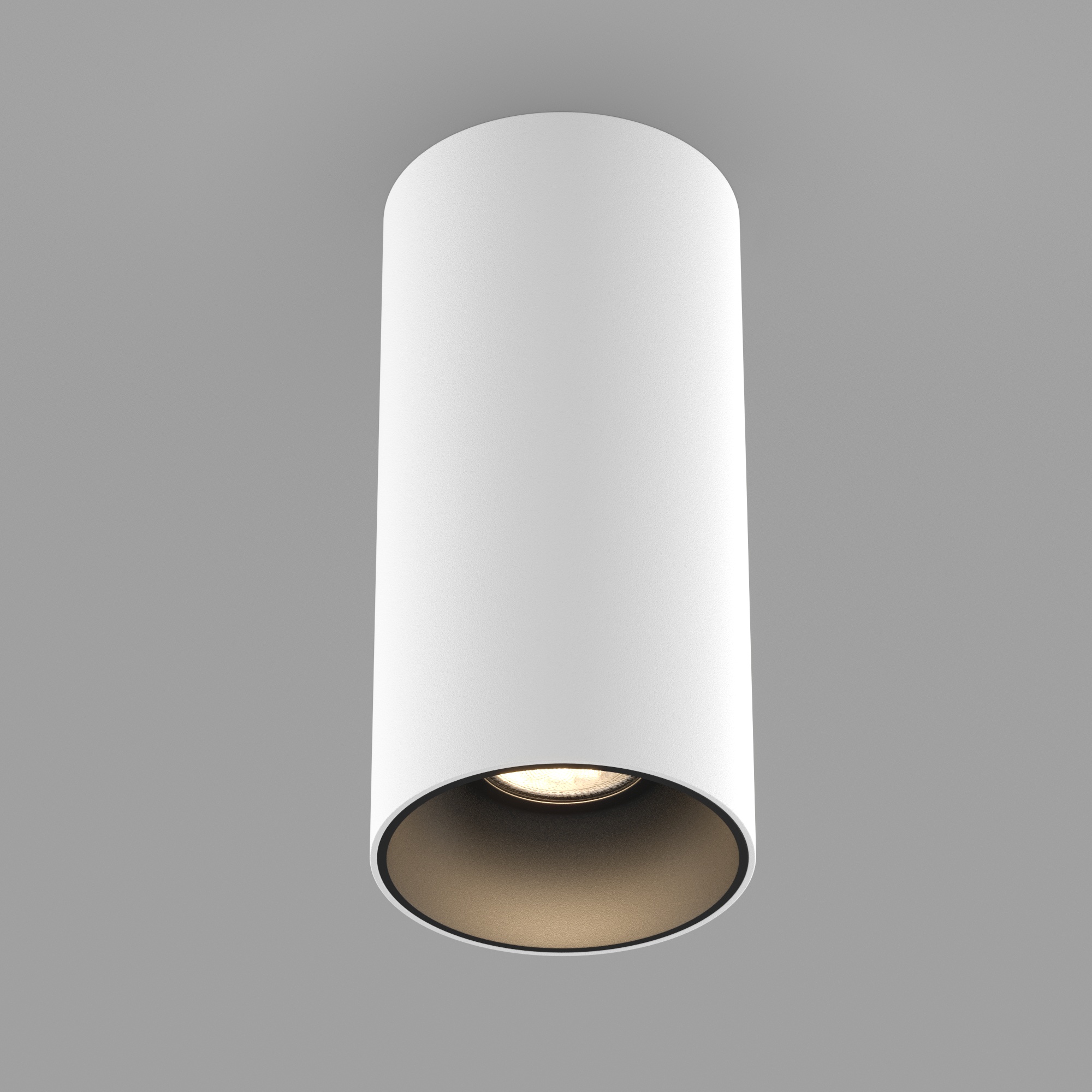 SP-SALT-R75-15W vray 2019 WH.jpg