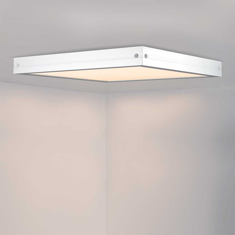 DL600x600.jpg