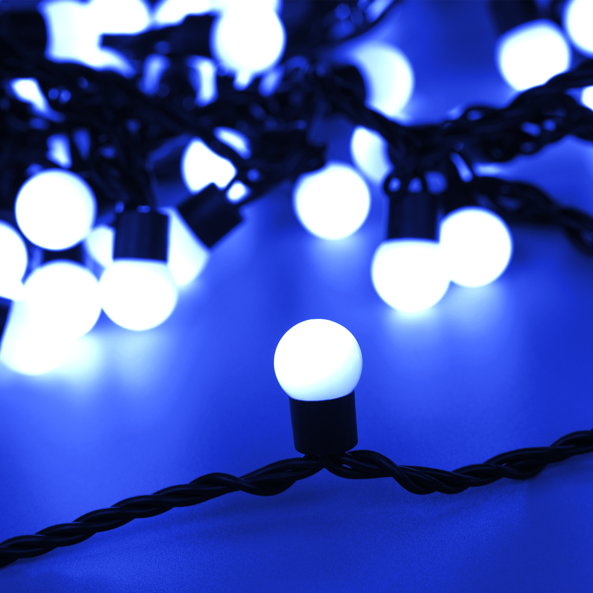 025584_025582-1.jpg