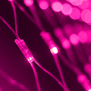 024679-pink.jpg