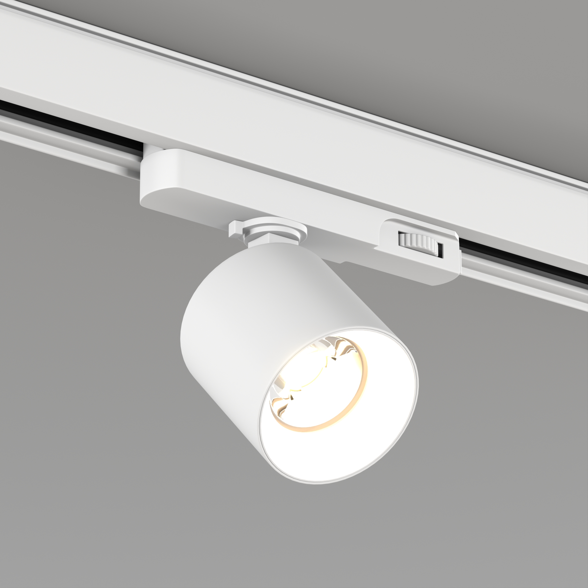 LGD-DYKE-4TR-R60-8W vray 2019 WH.jpg