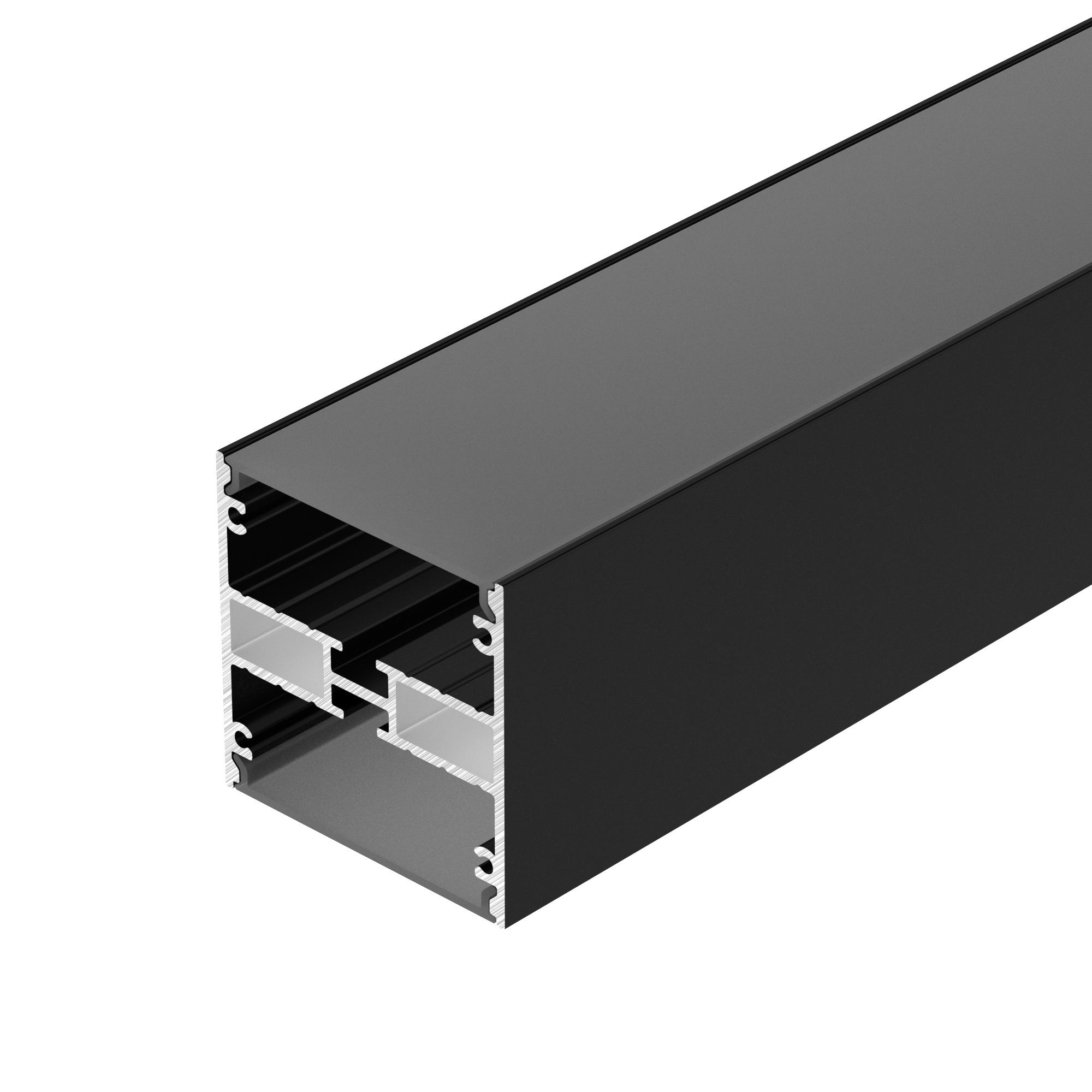 045652_Профиль-LINE-5050-DUAL-2000-ANOD-BLACK_2000.jpg