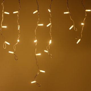 026020-2_m.jpg