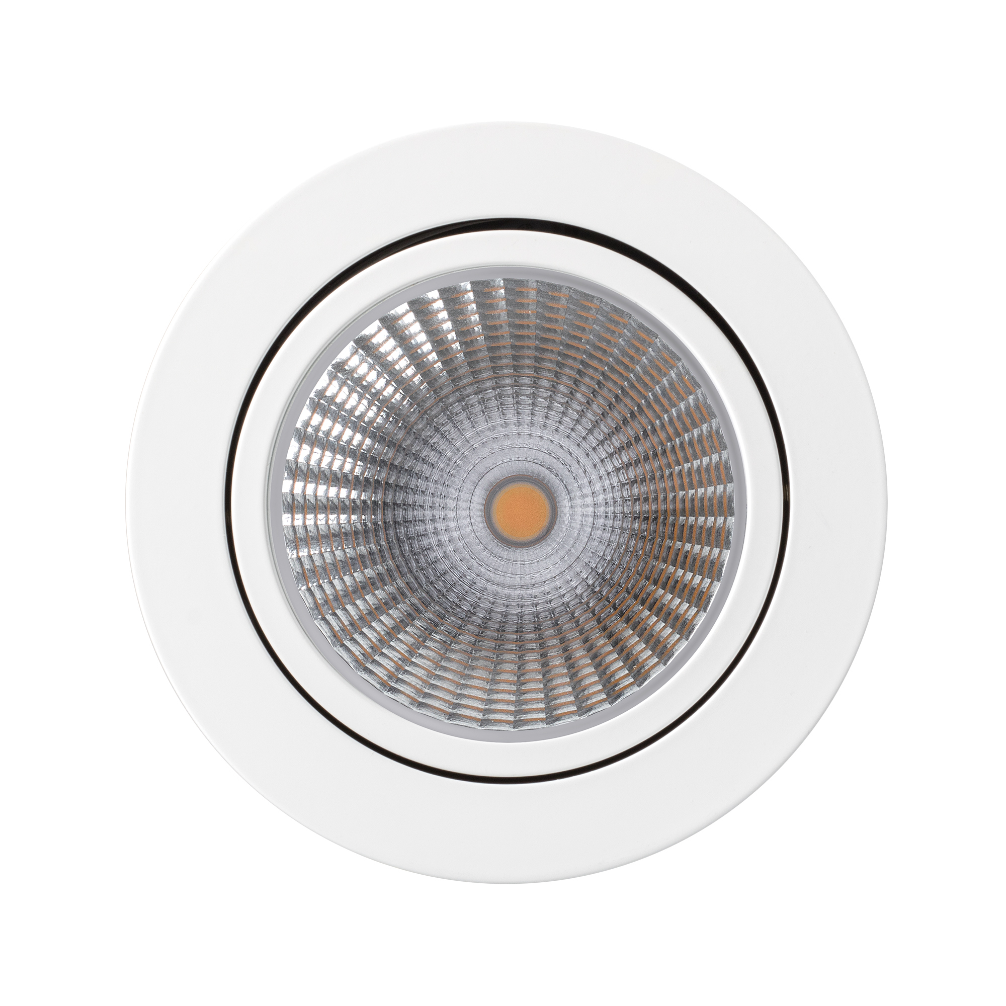 FOCUS-16-Wh-front.jpg
