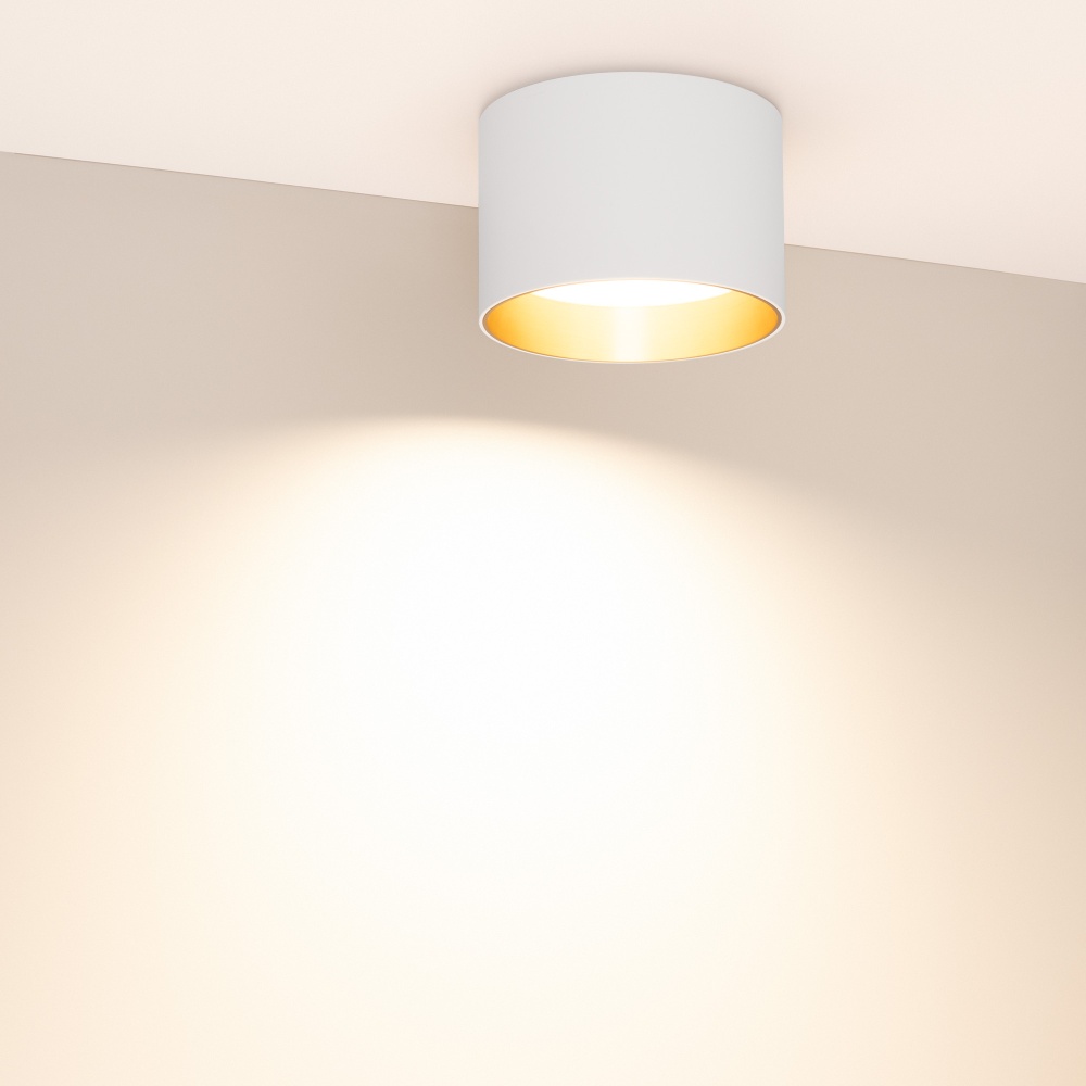055010-11_054914 3300K.jpg