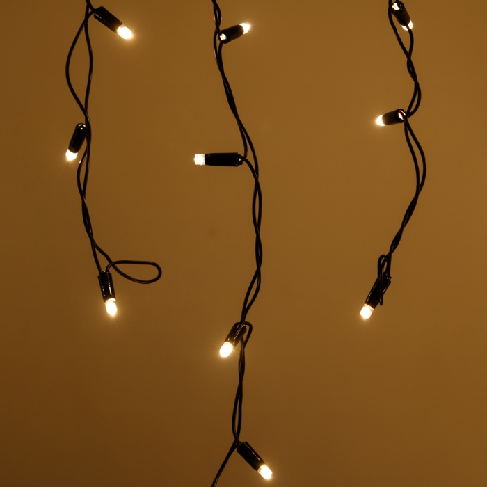 026013-4.jpg