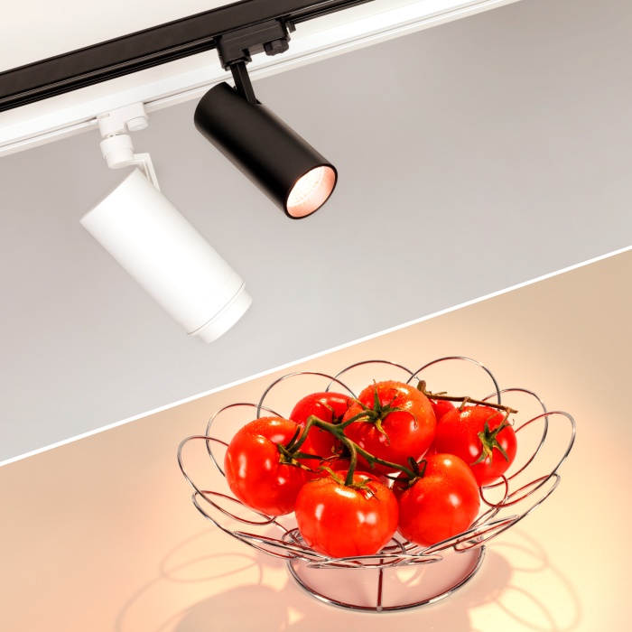 032471-tomatoes.jpg