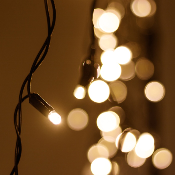 026013-10.jpg