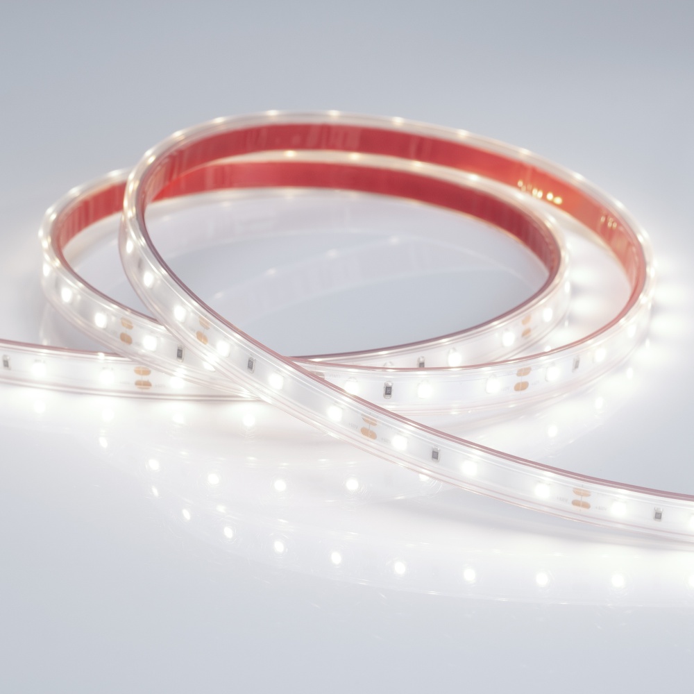 011509-13_Wight.jpg