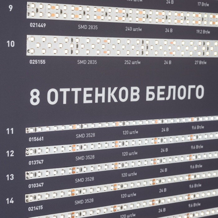 000905_1_-29.jpg