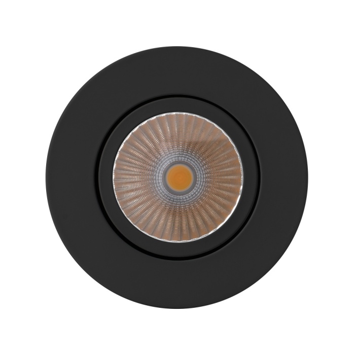 focus-9-bk-front.jpg